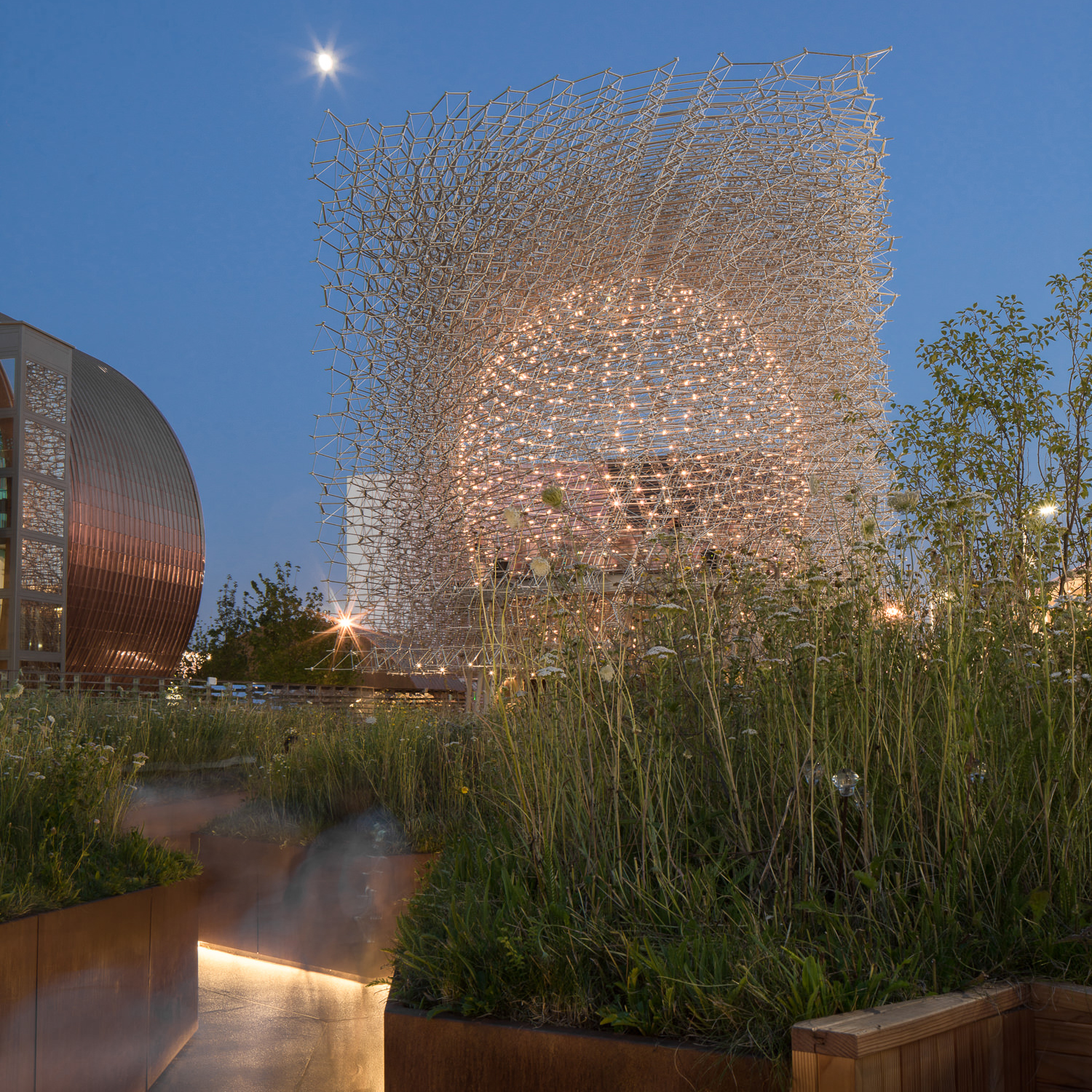 through the meadow at night at uk pavilion, milan expo, mark hadden 