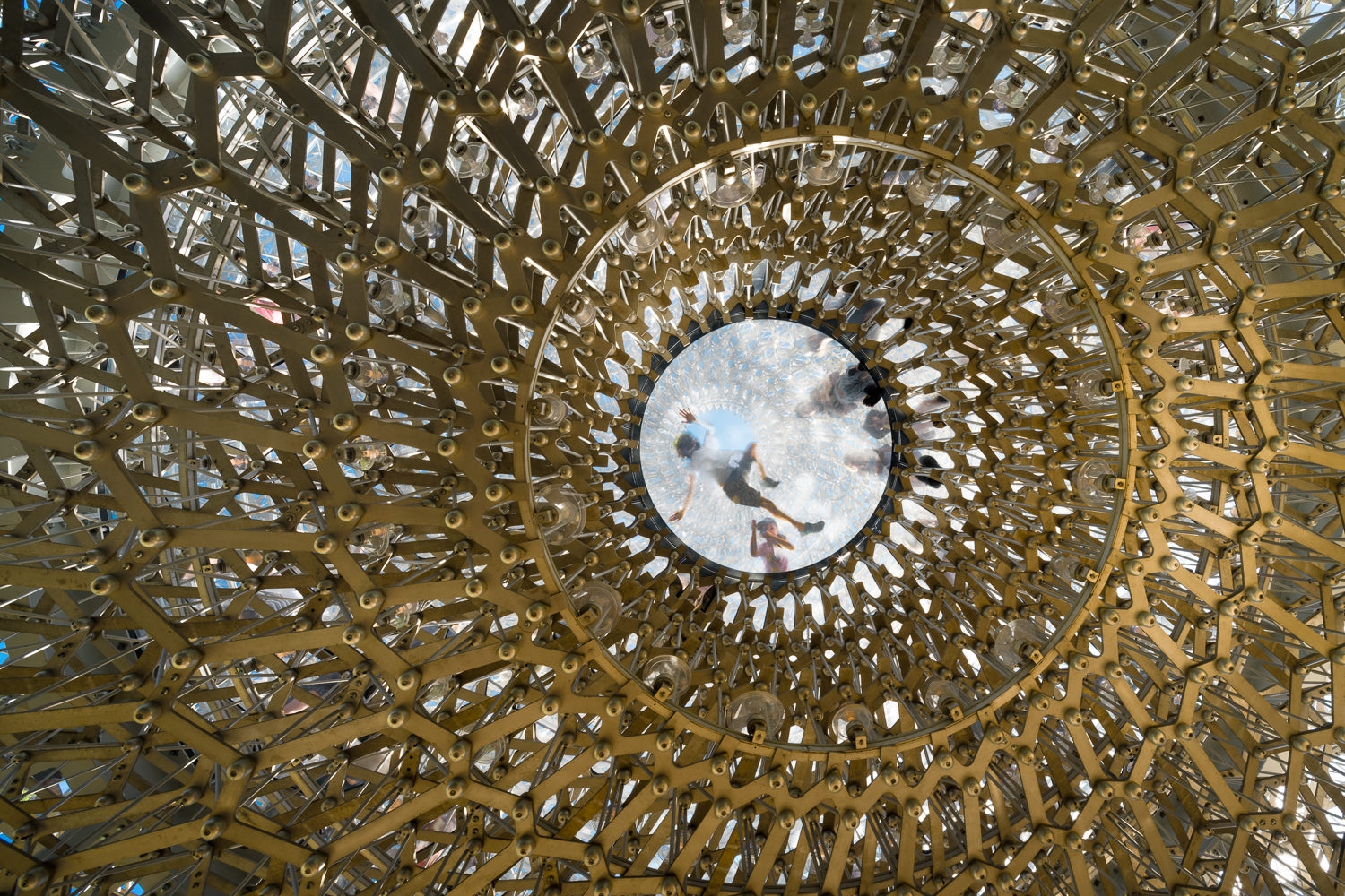 mark-hadden-architecture-photographer-architectuur-interieur-fotografie-london-amsterdam-hive-kew-783.jpg