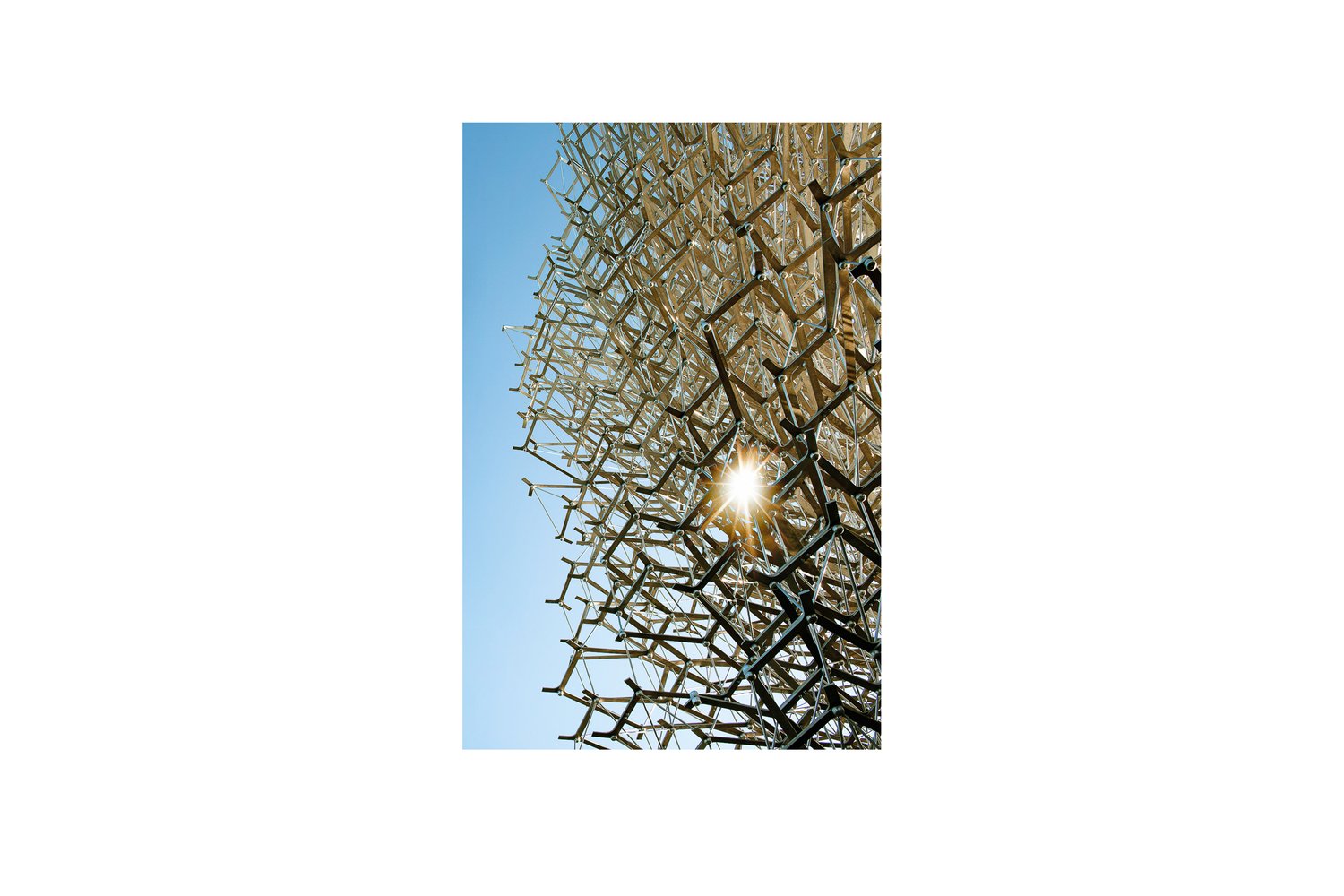mark-hadden-architecture-photographer-architectuur-interieur-fotografie-london-amsterdam-hive-kew-954.jpg