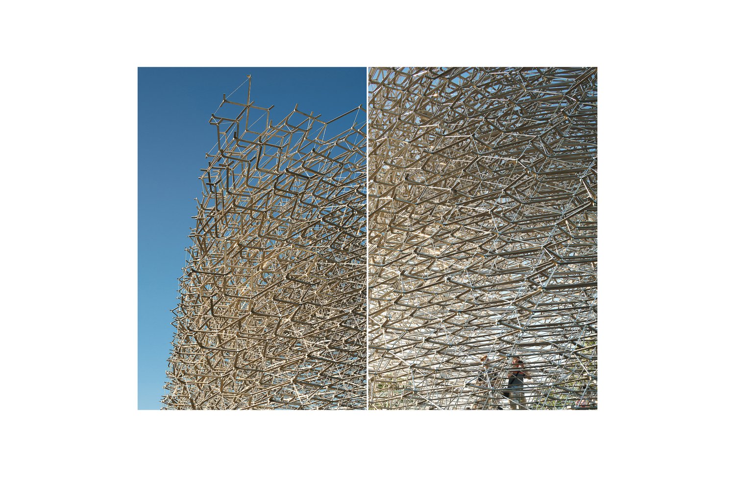 mark-hadden-architecture-photographer-architectuur-interieur-fotografie-london-amsterdam-hive-kew-970 copy 2.jpg